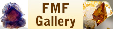 FMF Gallery