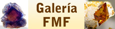 Galería FMF